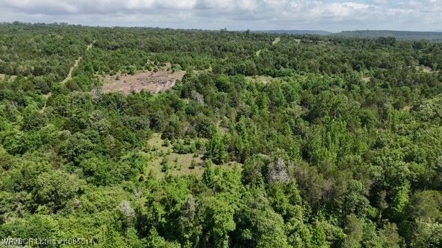 0 Oak Bend, Cecil, AR 72930