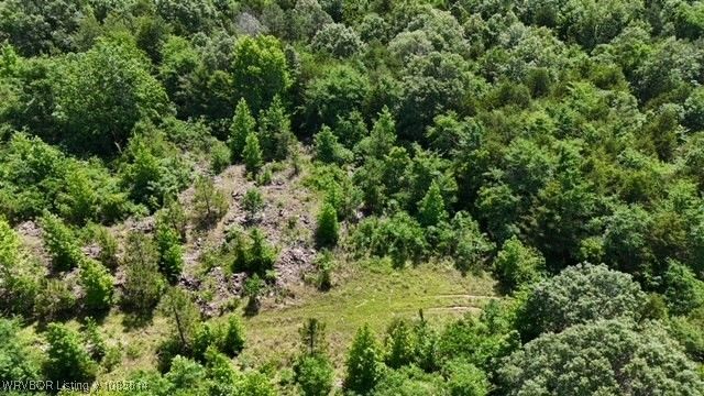 0 Oak Bend, Cecil, AR 72930