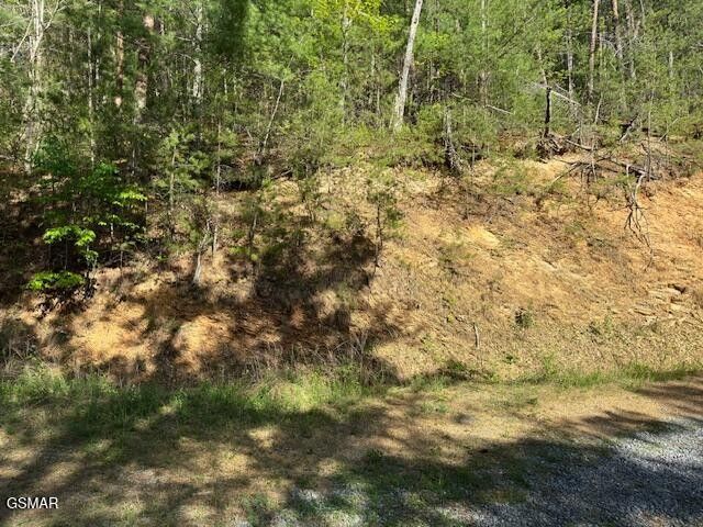 15 Sunset Road, Sevierville, TN 37862