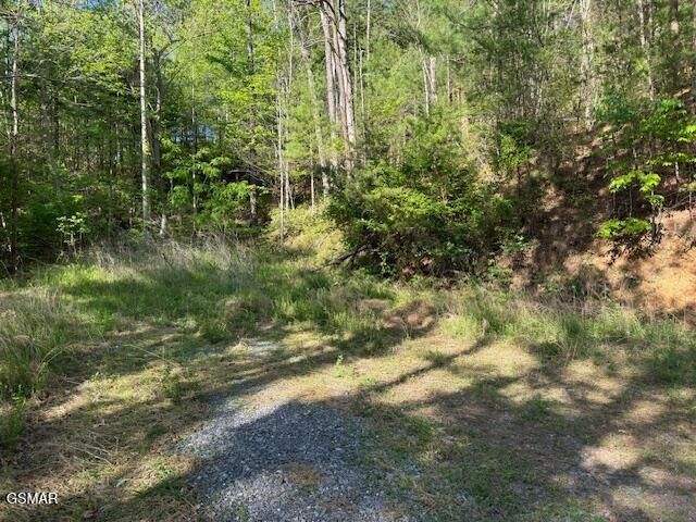 15 Sunset Road, Sevierville, TN 37862