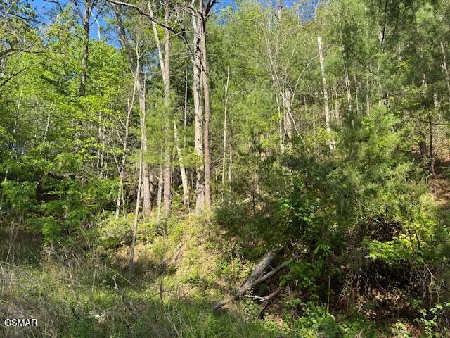 15 Sunset Road, Sevierville, TN 37862
