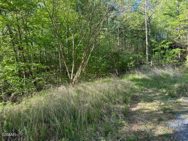 15 Sunset Road, Sevierville, TN 37862
