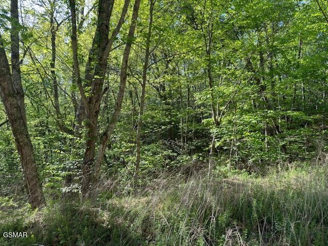15 Sunset Road, Sevierville, TN 37862