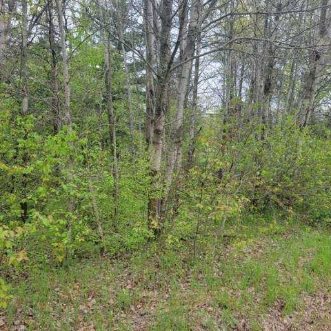 LOT #42 E ROBERTA Drive, Roscommon, MI 48653