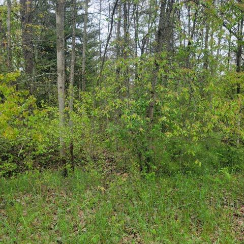 LOT #42 E ROBERTA Drive, Roscommon, MI 48653