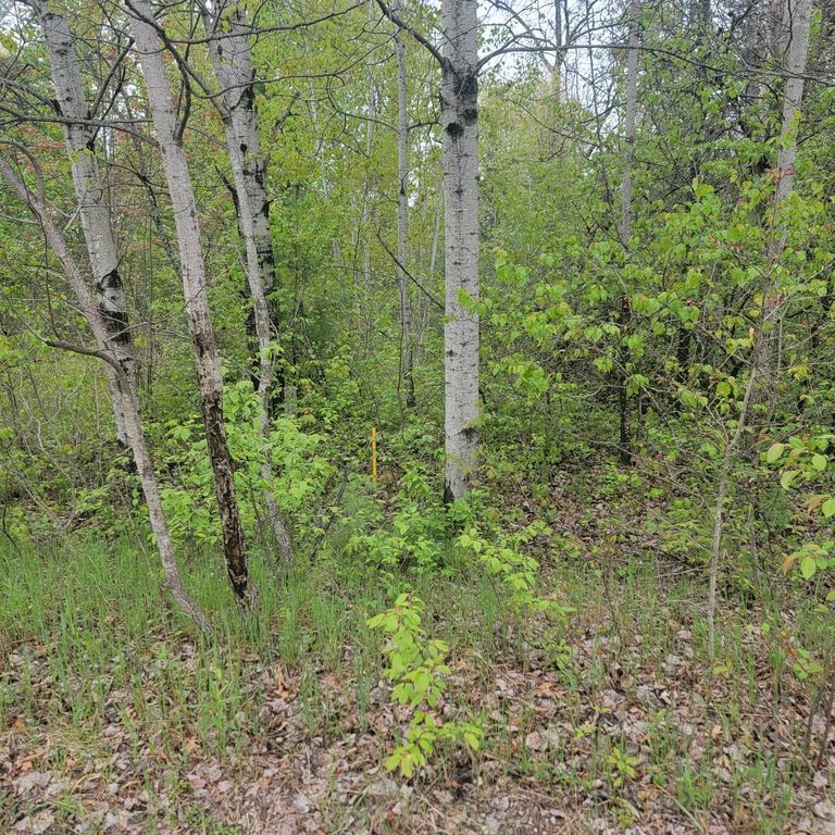 LOT #42 E ROBERTA Drive, Roscommon, MI 48653