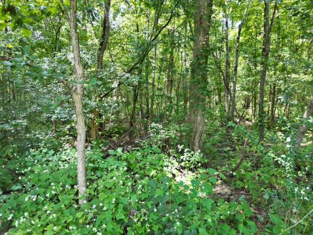 4025 Leanna Rd, Murfreesboro, TN 37129