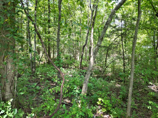 4025 Leanna Rd, Murfreesboro, TN 37129