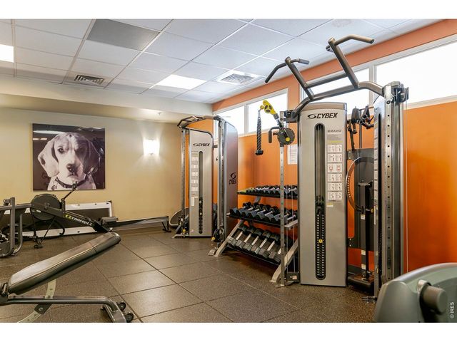 410 Acoma St 321, Denver, CO 80204