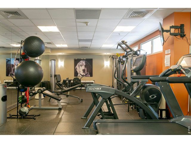 410 Acoma St 321, Denver, CO 80204