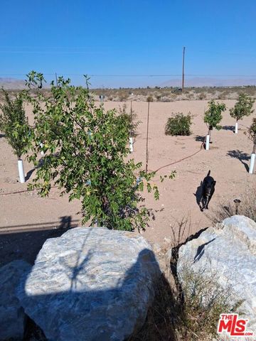 9025 Camp Rock Road, Lucerne Valley, CA 92356