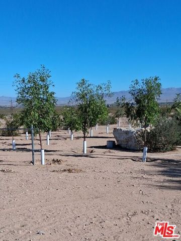 9025 Camp Rock Road, Lucerne Valley, CA 92356