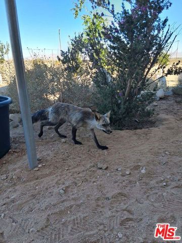 9025 Camp Rock Road, Lucerne Valley, CA 92356