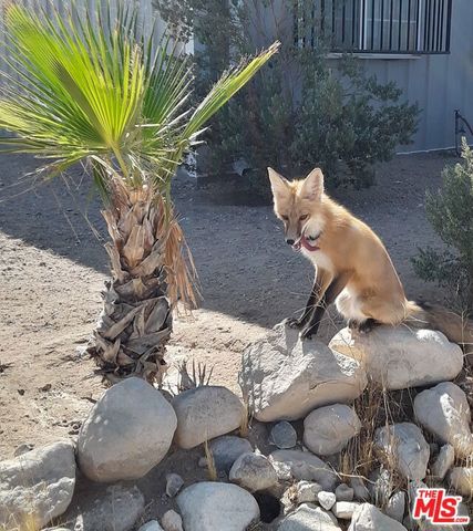 9025 Camp Rock Road, Lucerne Valley, CA 92356