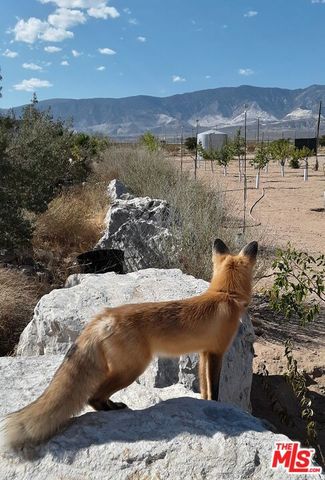 9025 Camp Rock Road, Lucerne Valley, CA 92356