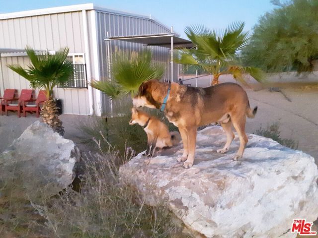 9025 Camp Rock Road, Lucerne Valley, CA 92356