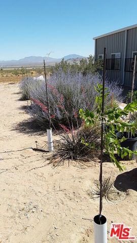 9025 Camp Rock Road, Lucerne Valley, CA 92356