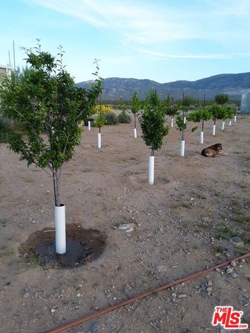 9025 Camp Rock Road, Lucerne Valley, CA 92356