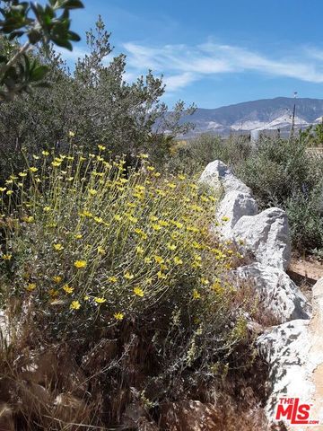 9025 Camp Rock Road, Lucerne Valley, CA 92356