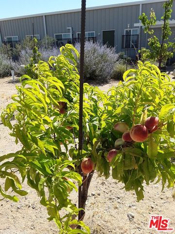 9025 Camp Rock Road, Lucerne Valley, CA 92356