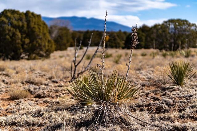0 CAMINO LA TIERRA, Santa Fe, NM 87506