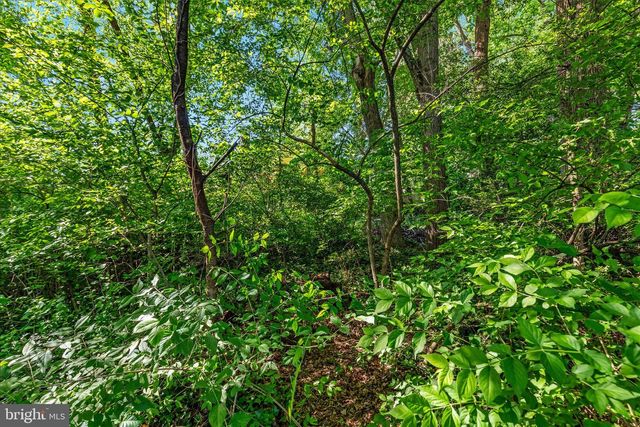 2406 CLAREMONT DR, Falls Church, VA 22043