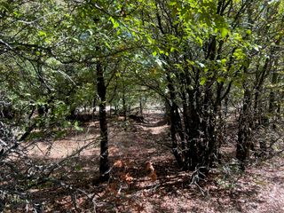 TBD Uselton Road, Loving, TX 76460