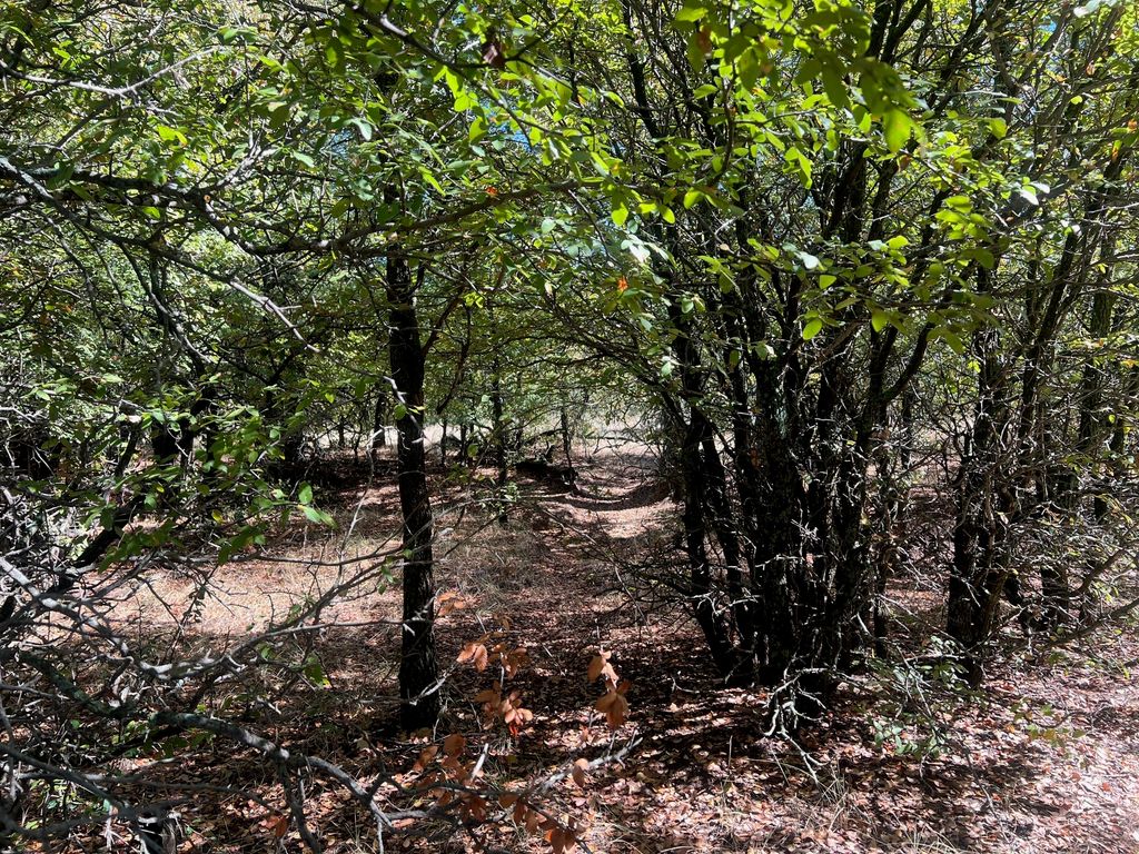 TBD Uselton Road, Loving, TX 76460