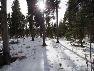 0 Long Trail Road, Black Hawk, CO 80422