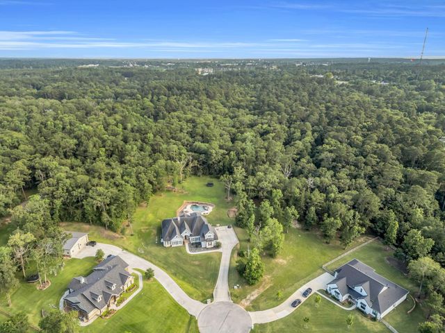 14702 Topaz Court, Willis, TX 77378