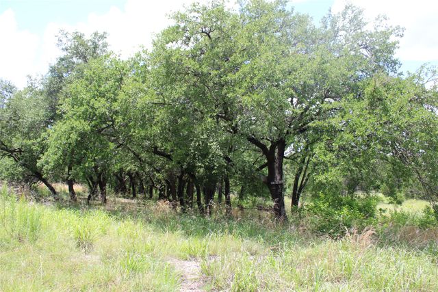 228 Private Road 2163, Iredell, TX 76649