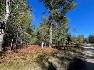 V/L L18-21 Monroe Avenue, Lots 18-21, Grayling, MI 49738