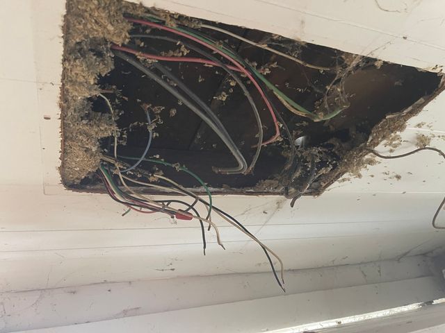 501 E Mulberry Street, Bloomington, IL 61701