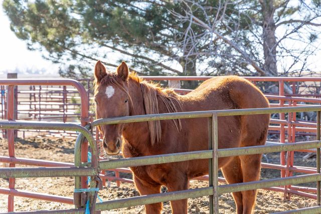 1898 E 3700 N, Filer, ID 83328