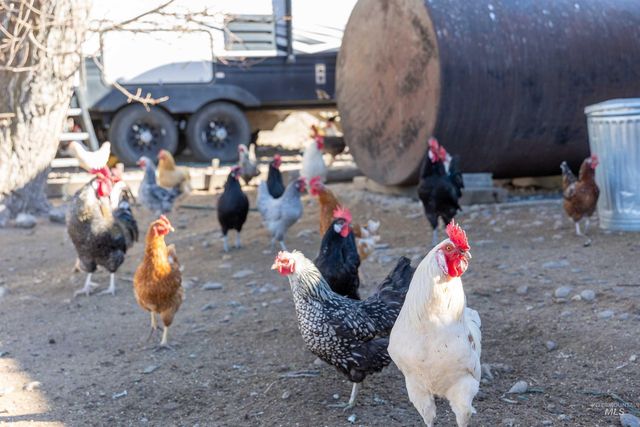 1898 E 3700 N, Filer, ID 83328