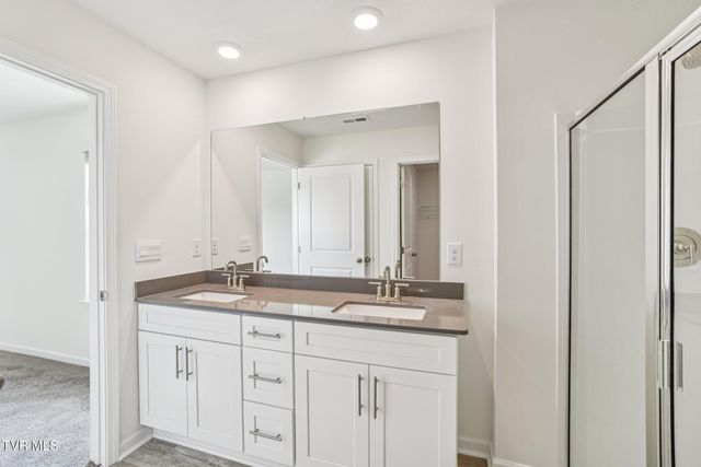 119 Mint Court, Bluff City, TN 37618