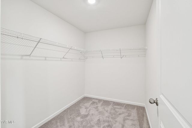 119 Mint Court, Bluff City, TN 37618