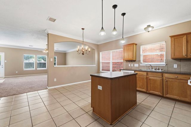 11822 Green Willow Falls Drive, Tomball, TX 77375