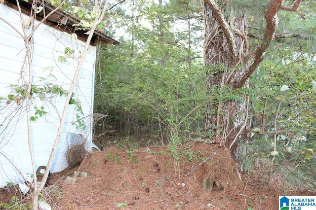 111 COUNTY ROAD 1202, Vinemont, AL 35179