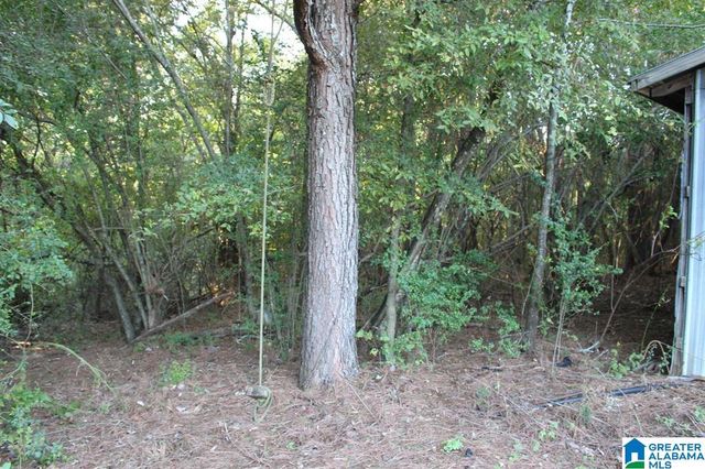 111 COUNTY ROAD 1202, Vinemont, AL 35179