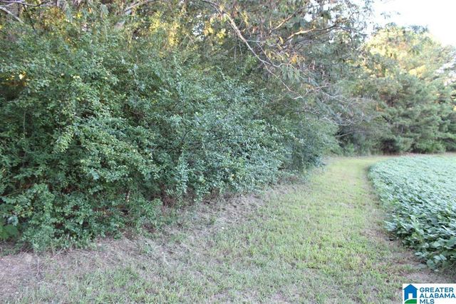 111 COUNTY ROAD 1202, Vinemont, AL 35179