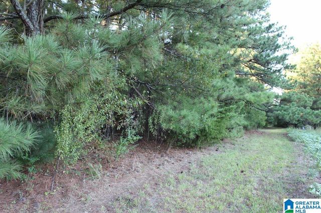 111 COUNTY ROAD 1202, Vinemont, AL 35179