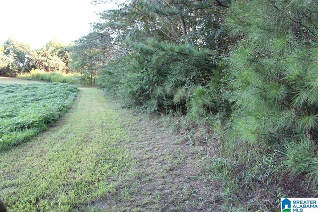111 COUNTY ROAD 1202, Vinemont, AL 35179