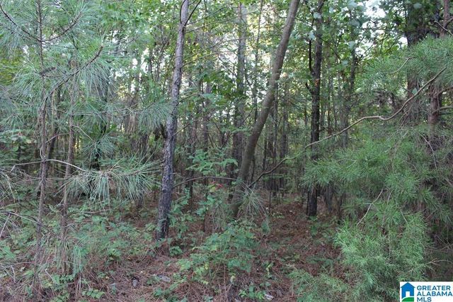 111 COUNTY ROAD 1202, Vinemont, AL 35179