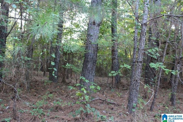 111 COUNTY ROAD 1202, Vinemont, AL 35179