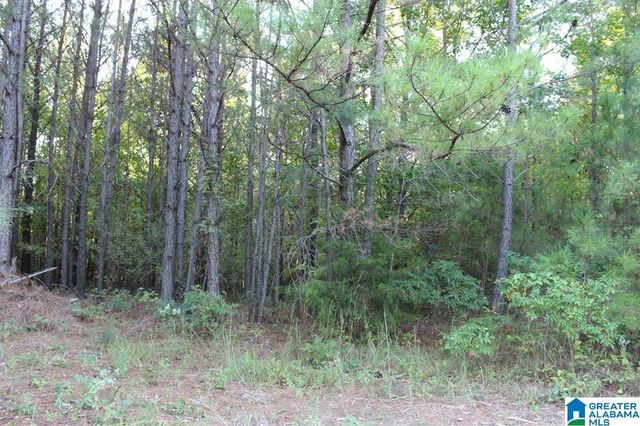 111 COUNTY ROAD 1202, Vinemont, AL 35179