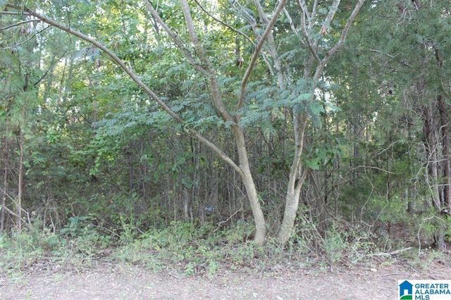 111 COUNTY ROAD 1202, Vinemont, AL 35179