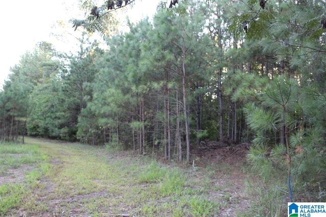 111 COUNTY ROAD 1202, Vinemont, AL 35179