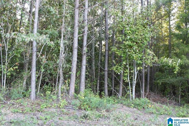 111 COUNTY ROAD 1202, Vinemont, AL 35179