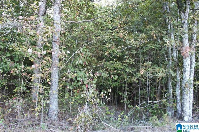 111 COUNTY ROAD 1202, Vinemont, AL 35179